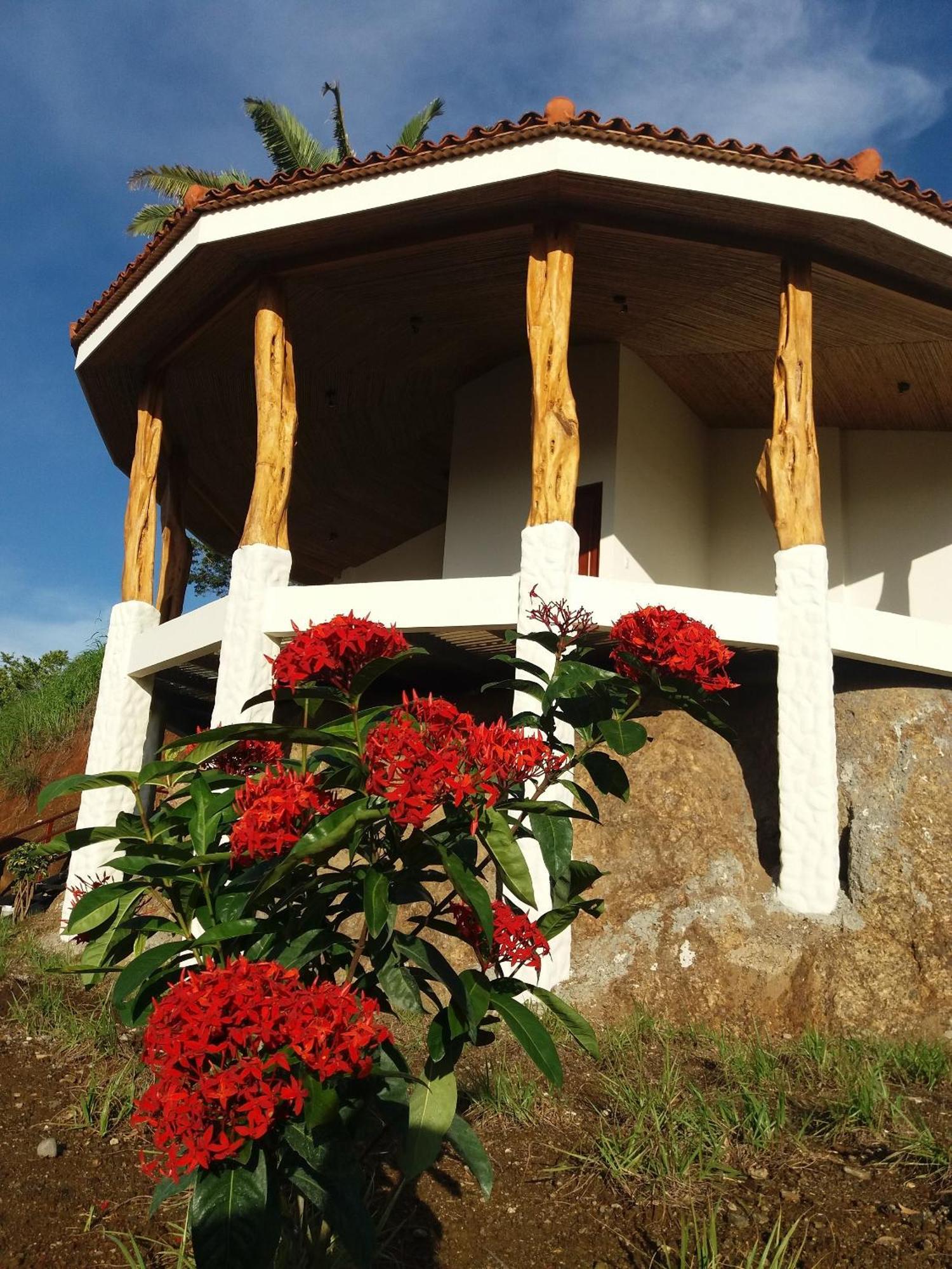 Hotel Peace & Lodge Samara Exterior photo